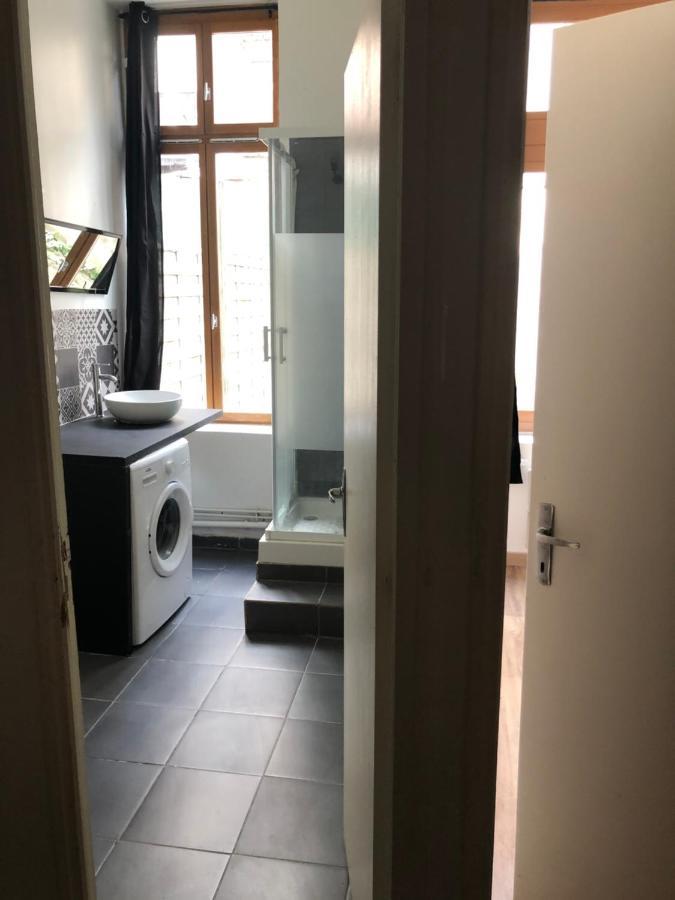 Appartement Et Son Jardin A Lille Fac De Droit מראה חיצוני תמונה